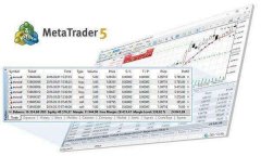 MT5软件下载