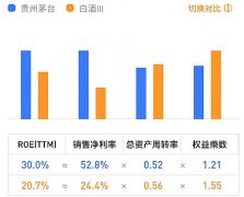 财务数据分析-巴菲特的最爱：ROE