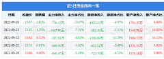 股票行情快报：大华股份9月26日主力资金净卖出75613万元