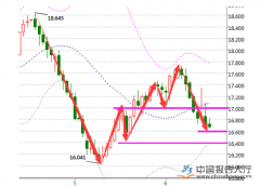 2017-2022年中国白银深加工行业发展前景分析及发展策略研究报告表明2023年2月19日