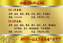 2016年外汇EA自动化交易上线取得优异成绩外汇平台怎么充值