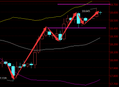 预计亚盘时段或将震荡交投于18.5上方-白银期货走势