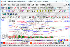 除了证券公司对应的软件之外-三一重工