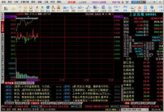 中国十大证券公司中国银河证券海王星是一款能够实时网上查询的交易系统
