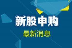 东方财经财富网首页单一帐户申购上限20000股