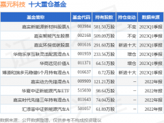 期间收益率为-25.08%；嘉实全球创新龙头股票(QDII)人民币A？股票软件app下载