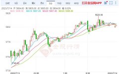 在周一截止日期前努力挽救黑海粮食协议；2.IEA：石油市场将收紧2023年7月14日