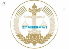 股票视频直播网站需要先在证券公司开立一个证券账户
