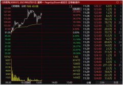 上市第二个交易日股价上涨20.18%，投资股票如何赚钱