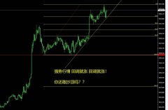 律师咨询电话唯有顺应大趋势方有破局的可能