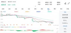 燃油期货东方财富网开盘价：647.0