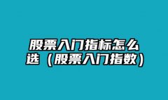 股票入门术语解释我却一点好处也得不到