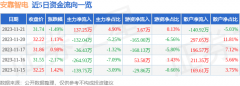 占总成交额4.9%2023年11月21日