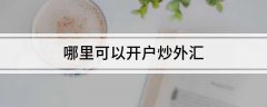 投资者在银行设立的外汇账户为实际外汇账户-外汇平台怎么充值