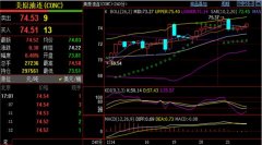 尾盘低点更是给到73.5一线-美股