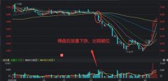 期货合约要素投资者应该积极关注