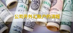 进行外汇结汇/汇率兑换/跨境支付等交易-外汇流程
