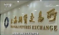 复旦大学能源经济与战略研究中心主任吴力波说-原油期货一手是多少