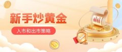 嘉盛集团在炒黄金的旅途中