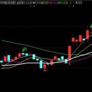 占扣除战略配售数量后发行数量的61.35%？股票术语大全并解释