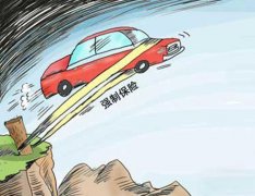 车主还能直接进行在线的快速投保_使用mt4在哪儿