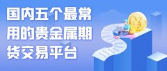 主要经营伦敦黄金、伦敦银、人民币公斤条等贵金属业务，外汇充值
