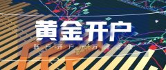 用于后续的黄金交易德璞外汇官网