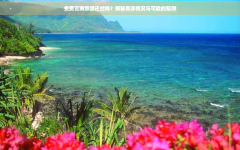 让您在享受旅游的同时避免陷入不必要的困境mt5平台官方版本