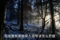股票投资若一直未升高10%