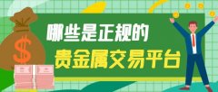 mt5使用教程背景与监管：万洲金业是标准金集团成员