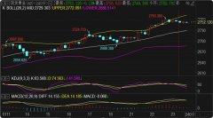 实用的黄金投资指南-美白银连续走势