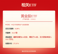 证券之星估值分析提示山金国际盈利能力一般-黄金白银期货