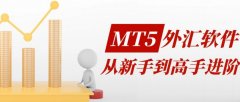 中原期货官网QD瓷砖2025年全新力作「璞·野奢」系列