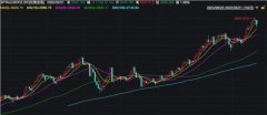 幸好金子一路上涨2025/3/25国泰君安外汇正规吗
