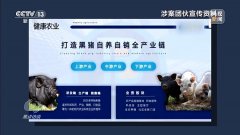 北京经侦总队六支队中队长于铮：突然有一天2025年5月30日