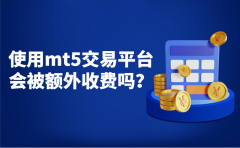 mt5平台是假的吗其提供的功能已经包含在经纪商的服务中