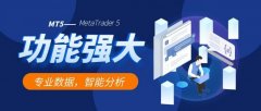 在2025年全球金融市场波动加剧的背景下_mt5从哪里下载