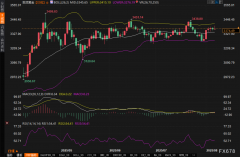 金价刚刚突破3380美元FXStreet首席分析师黄金技术前景分析？上海能源期货交易所