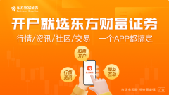 包括未来发展前景与面临的风险等—白银期货多少一手